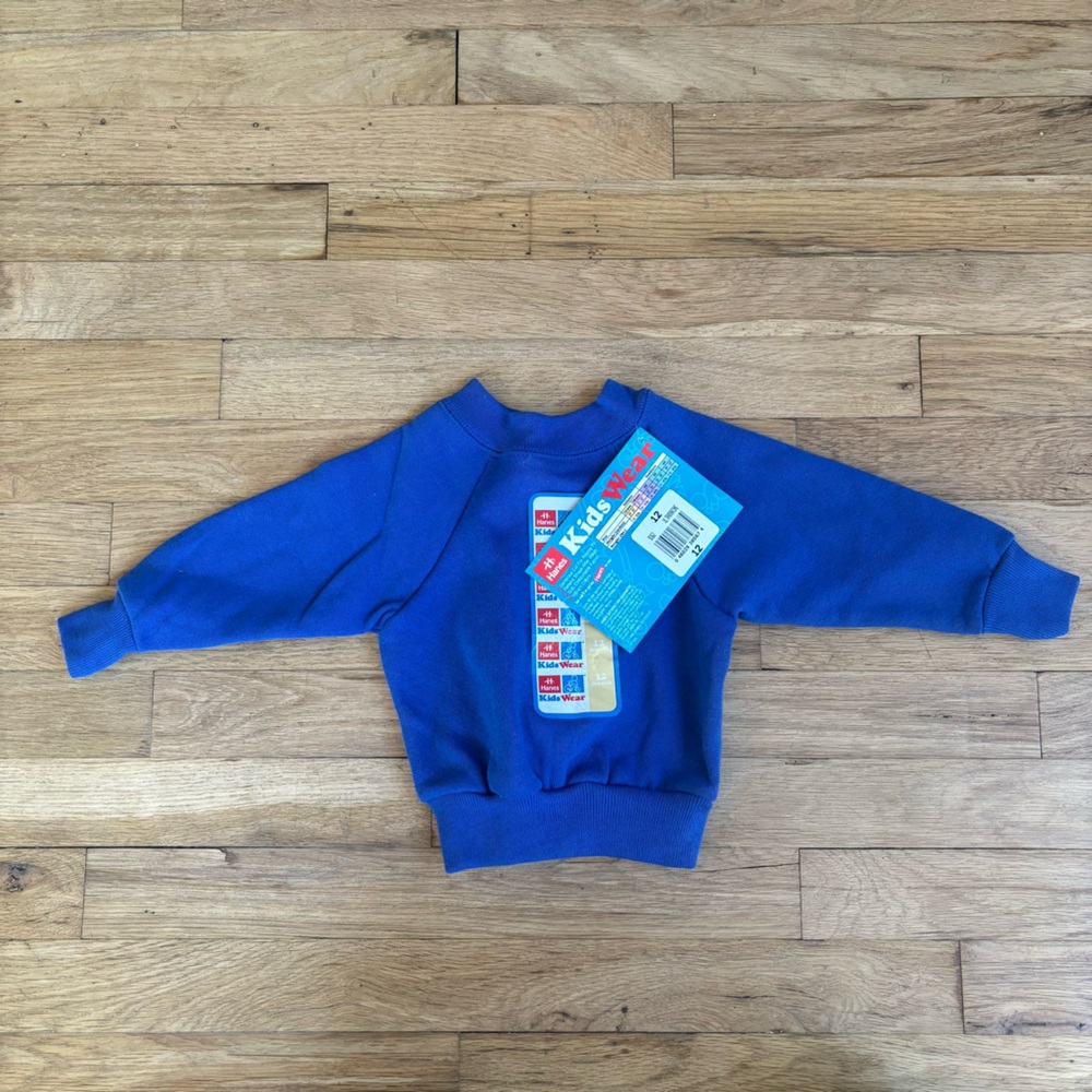 Vintage hanes blue sweatshirt NWT